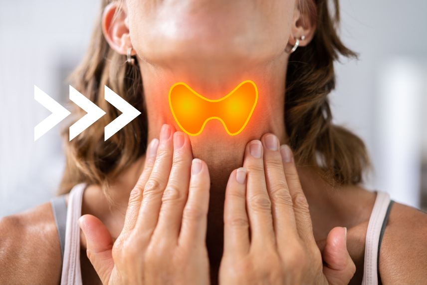 , What is Thyroid Optimization?