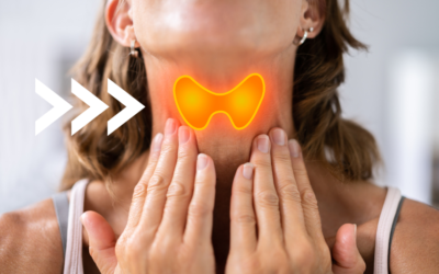 What is Thyroid Optimization?